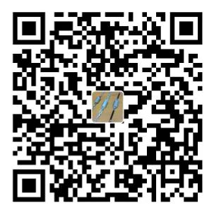 Alipay Collection QR Code